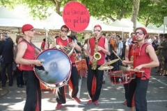 Musiciens et Orchestres à Aurillac