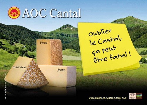 fromage_aoc_cantal.jpg