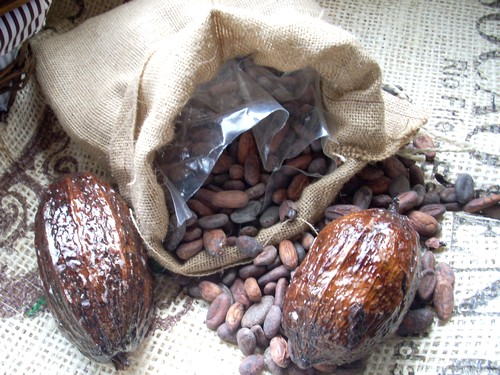 Cacao 