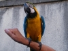 DSCF2014
