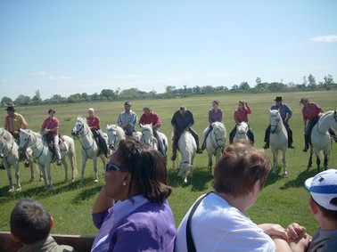 Camargue