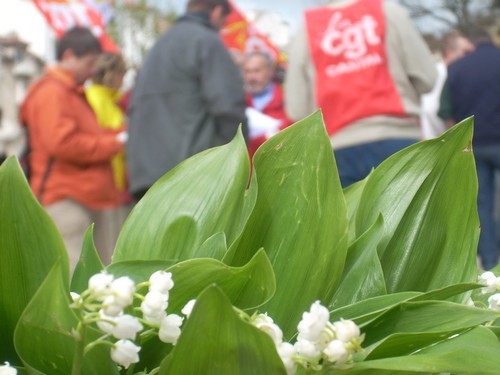 Muguet