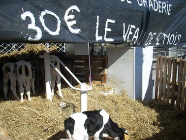 Manifestation des éleveurs laitiers