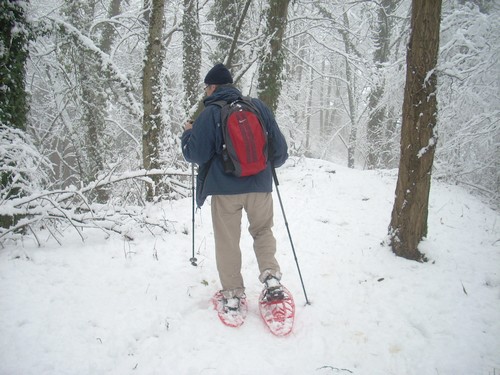 Raquettte à neige